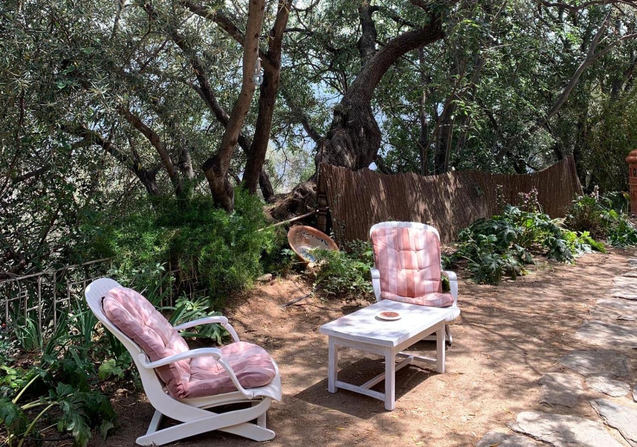 Mountain House Surrounded By Nature Bayacas Extérieur photo