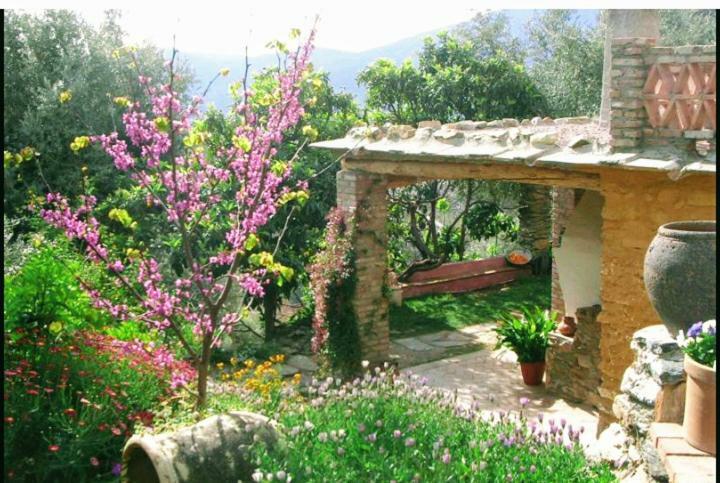 Mountain House Surrounded By Nature Bayacas Extérieur photo